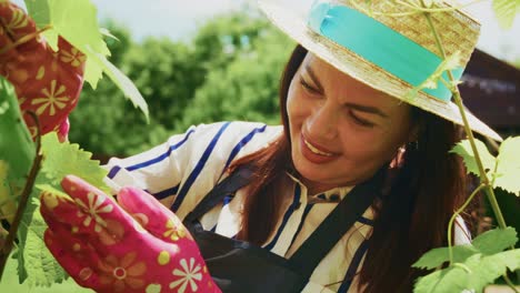 woman gardening in vineyard