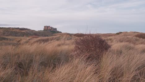 View-across-coastal-grassland-towards-the-majestic-Bamburgh-Castle,-Northumberland,-England