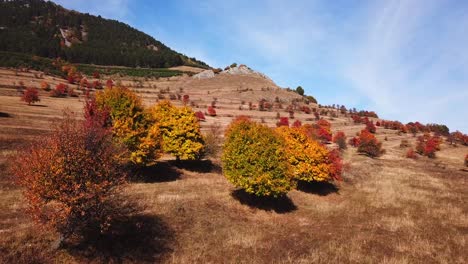 Forward-drone-shot-over-colorful-autumn-trees,-on-a-bright-sunny-day