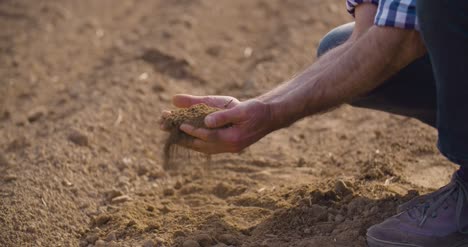 mani del contadino che tengono e versano indietro il terreno organico