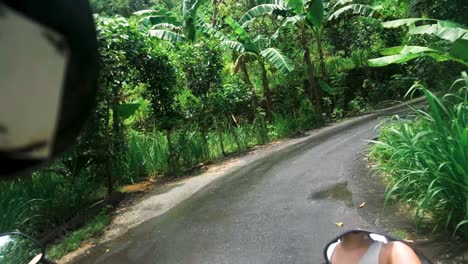 driving on wet tropical forest road, nusa penida, bali on motorbike, passenger pov