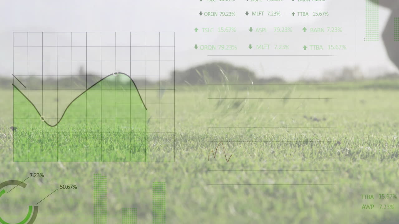 골프 코스에서 타격되는 골프 공에 대한 디지털 데이터 처리의 애니메이션