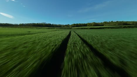 fpv drone swiftly glides over flat green farmland field, tree shadows alongside picturesque landscape under clear blue sky in montois, france.