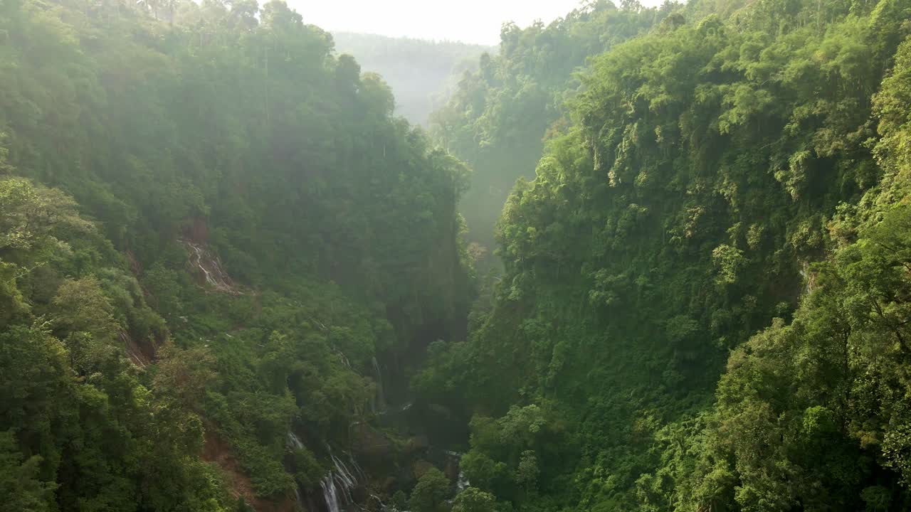 una fascinante vista aérea: un río serpentea a través de un bosque, abrazado por escarpados acantilados a ambos lados, pintando una imagen de belleza serena y desierto crudo