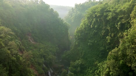 a mesmerizing aerial view: a river winds through a forest, hugged by steep cliffs on either side, painting a picture of serene beauty and raw wilderness