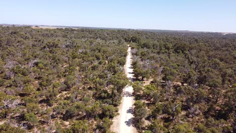 Vista-Aérea-Descendente-Sobre-La-Pista-De-Matorrales,-Sendero-Del-Patrimonio,-Perth