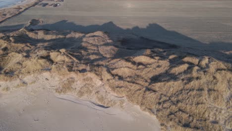 sandy dunes overgrown with coastal plants near ocean water, high angle drone view