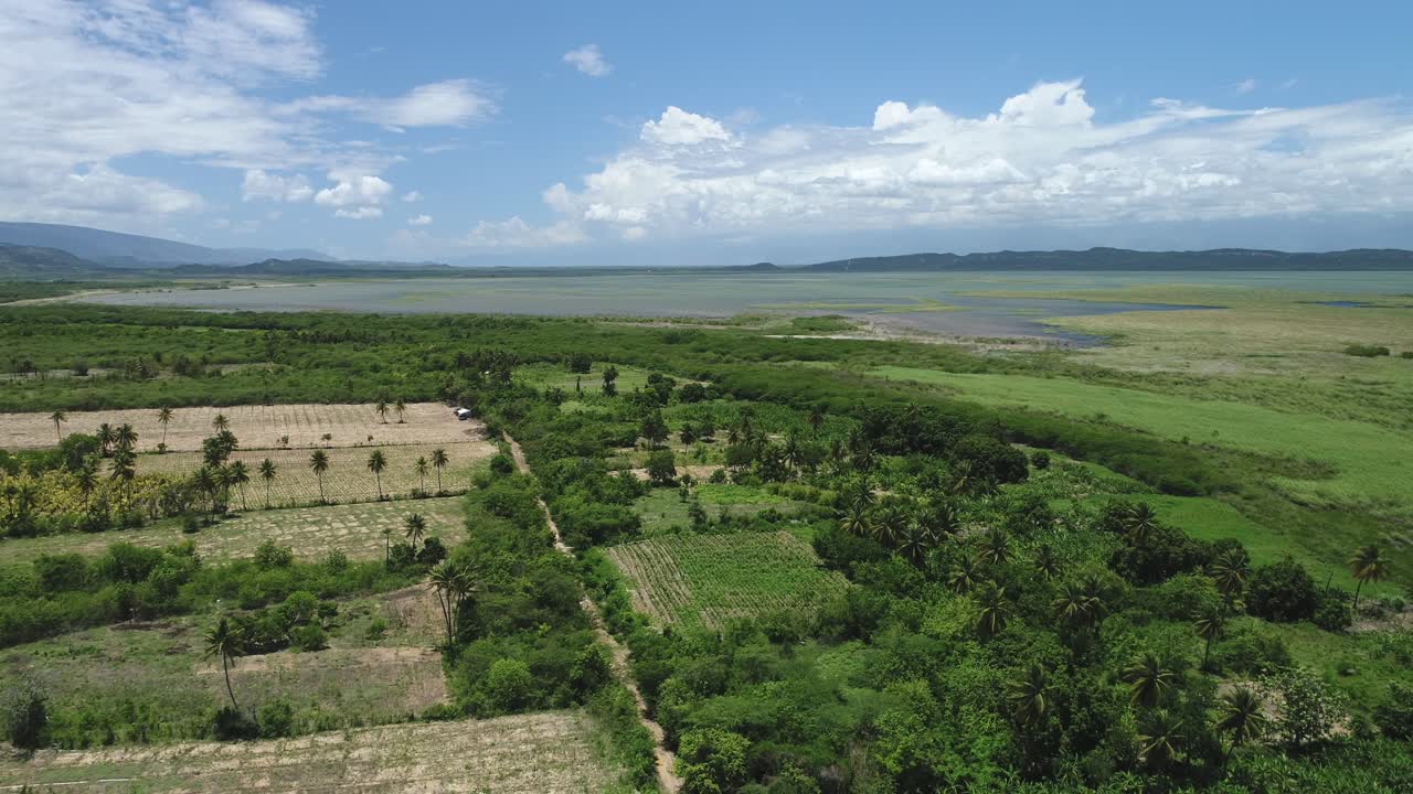 Flying towards an epic lake surrounded by palm trees and grassy farm land, drone aerial