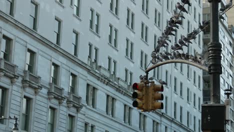 group of pigeons on traffic light in manhattan