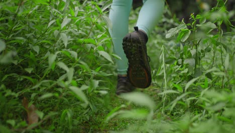 Following-female-legs-in-sportive-legging-walking-through-green-shrub