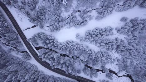 Luftaufnahmen,-Die-Die-Schönheit-Des-Winters-Zeigen,-Während-Es-Auf-Dem-Land-Mit-Einem-Wald-In-Der-Nähe-Schneit