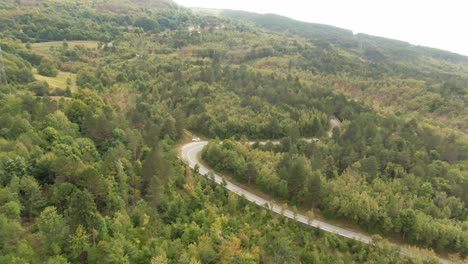 A-drone-shot-over-a-forest-in-a-natural-park