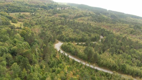 un dron disparó sobre un bosque en un parque natural