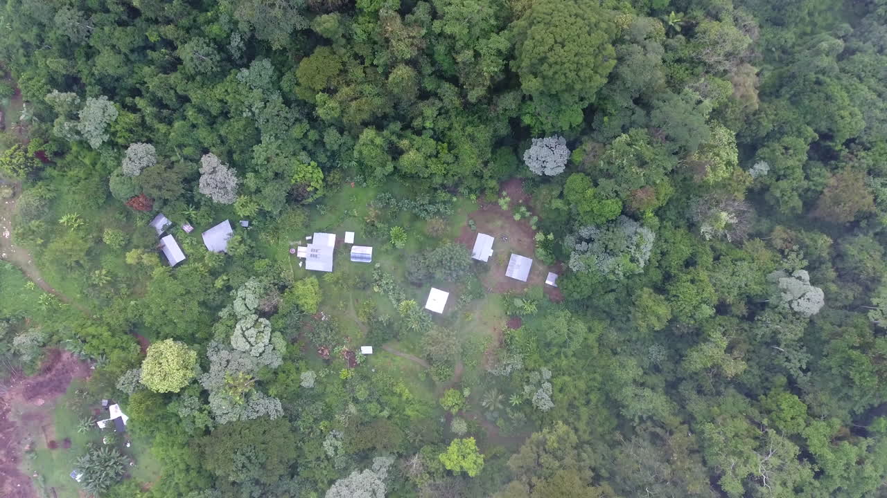 vista vertical de un albergue de ecoturismo en la selva tropical profunda en el parque amazónico de guayana sa