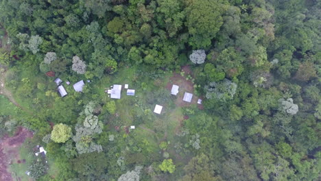 vertical view of an ecotourism lodge deep rainforest in guiana amazonian park sa