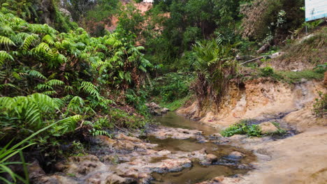 fairy stream in tropical forest in vietnam, aerial