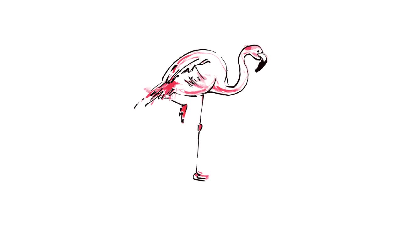 색 바탕에 그룬지 텍스처 스타일로 손으로 그려진 분홍색 플라밍고, 알파 채널, 루마 매트, 4k 비디오 그래픽 애니메이션