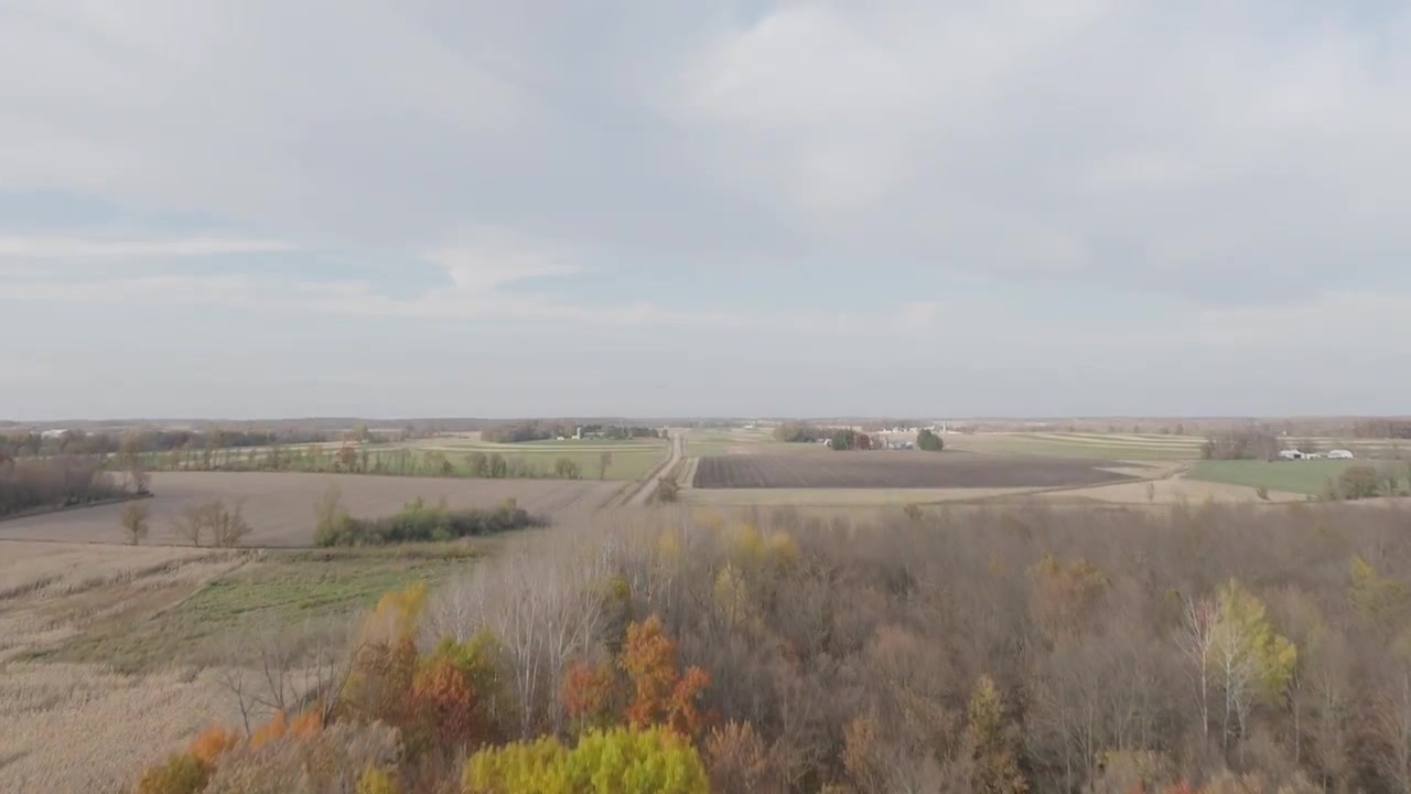 Levende efterårsfarver og uhøstede majsmarker optaget med drone i Minnesota.