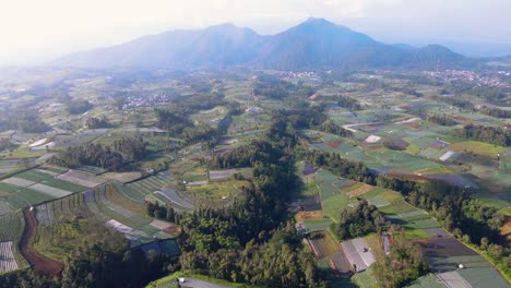 vuelo aéreo sobre coloridos campos de plantación con patrón y cordillera en el fondo durante el día de niebla en indonesia