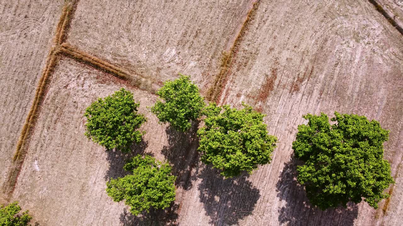 aviones no tripulados vuelan sobre árboles y campos