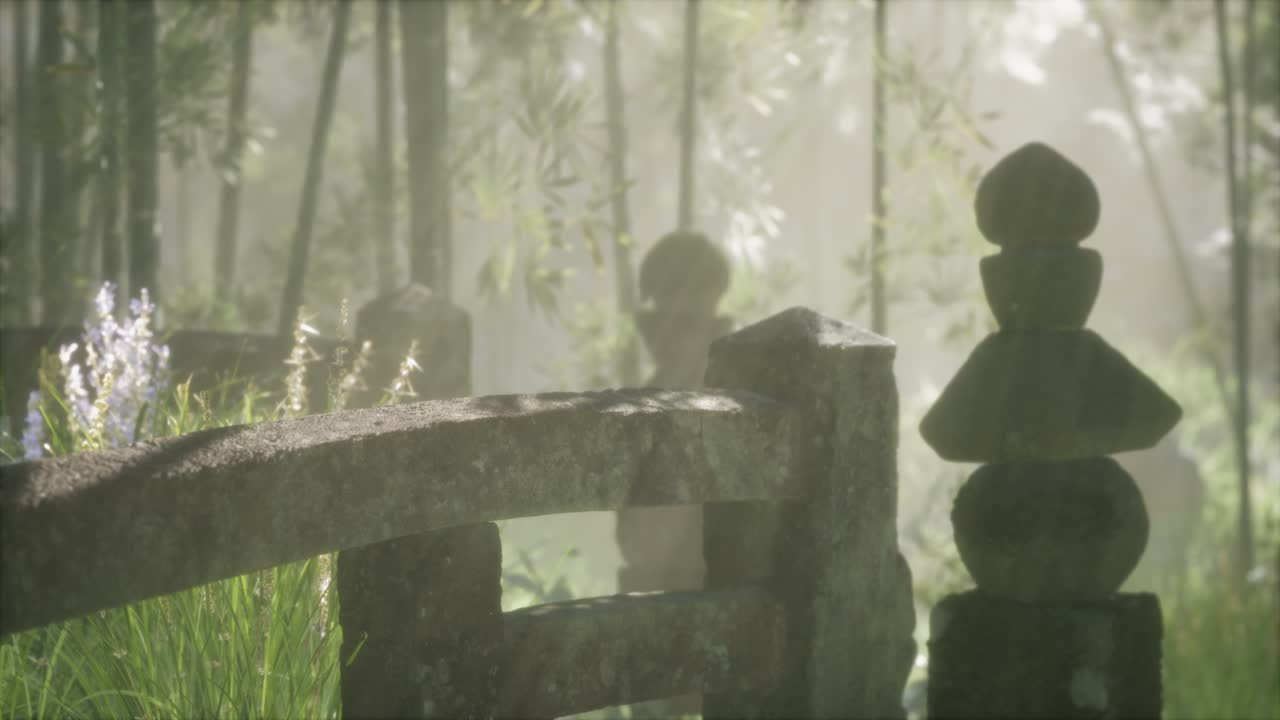 일본 대나무 숲 과 녹색 초원 잔디 와 자연 빛