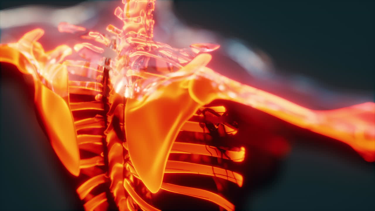 rayos x de todo el cuerpo del esqueleto en brillo