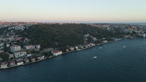 houses and trees overlooking the sea of istanbul from the air