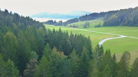 aerial over forest trees next to open green fields