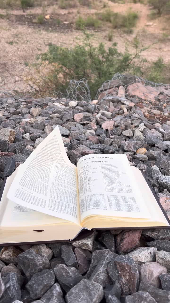 mi biblia es la presencia de dios en la tierra