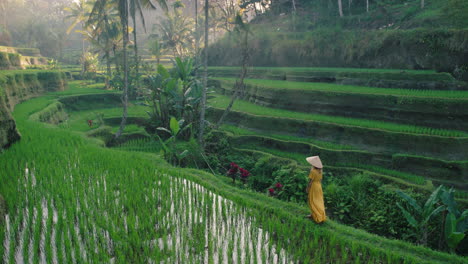 Mujer-De-Viaje-En-Arrozal-Con-Vestido-Amarillo-Con-Sombrero-Explorando-Una-Exuberante-Terraza-De-Arroz-Verde-Caminando-En-Un-Paisaje-Cultural-Vacaciones-Exóticas-A-Través-De-Bali-Indonesia-Descubrir-Asia