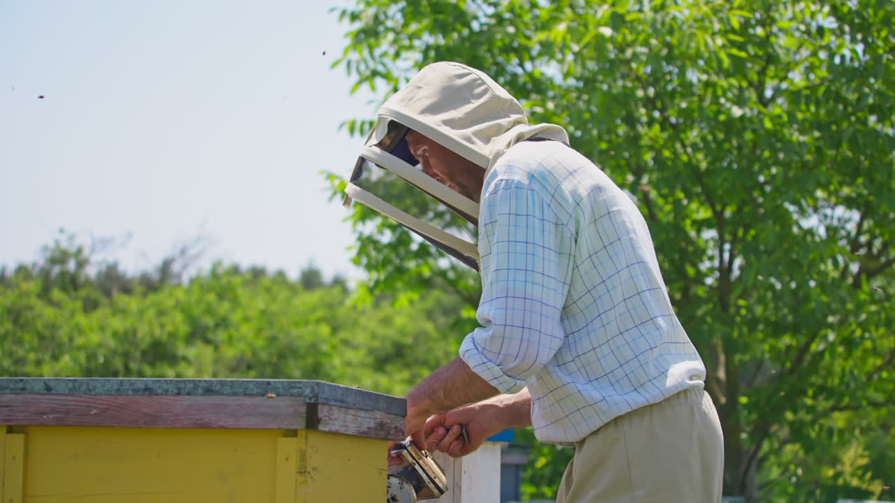 Apiarist holding special instruments for bee faming in hands. Bee farmer inspecting the bee hives on sunny summer day.