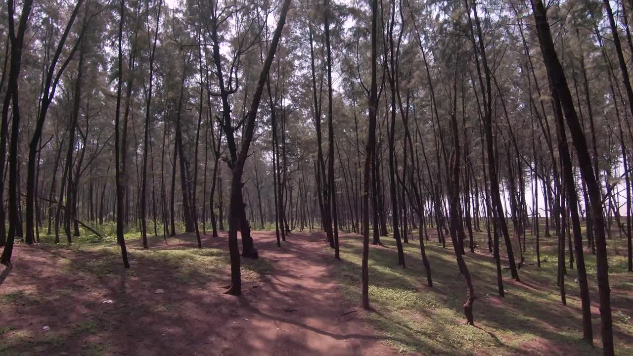 구자라트의 나르골 해변의 fpv 드론 영상