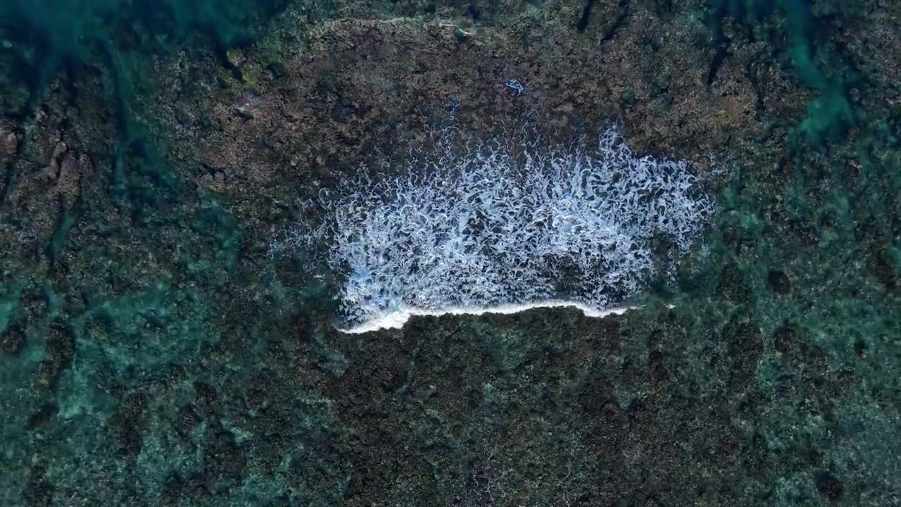 Waves break across a shallow tropical coral reef in crystal clear water