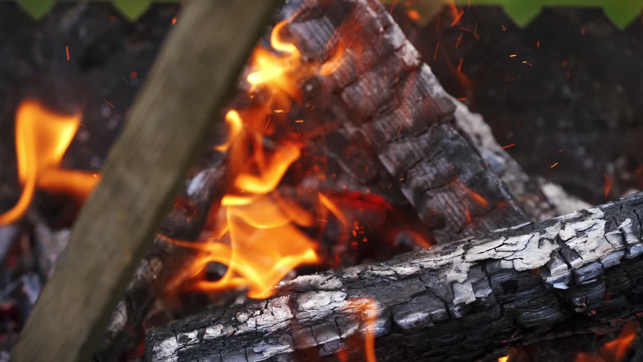 Campfire in nature, closeup. Burning firewood in the fireplace, close up