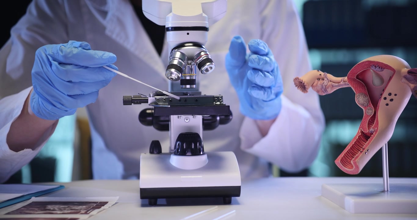 Woman researcher studies liquid sample near uterus model
