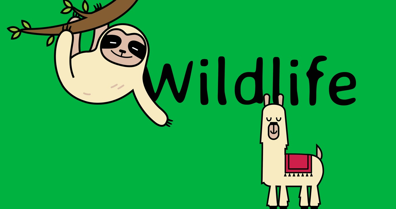 Animation of cartoon sloth, lama and wildlife day on transparent background
