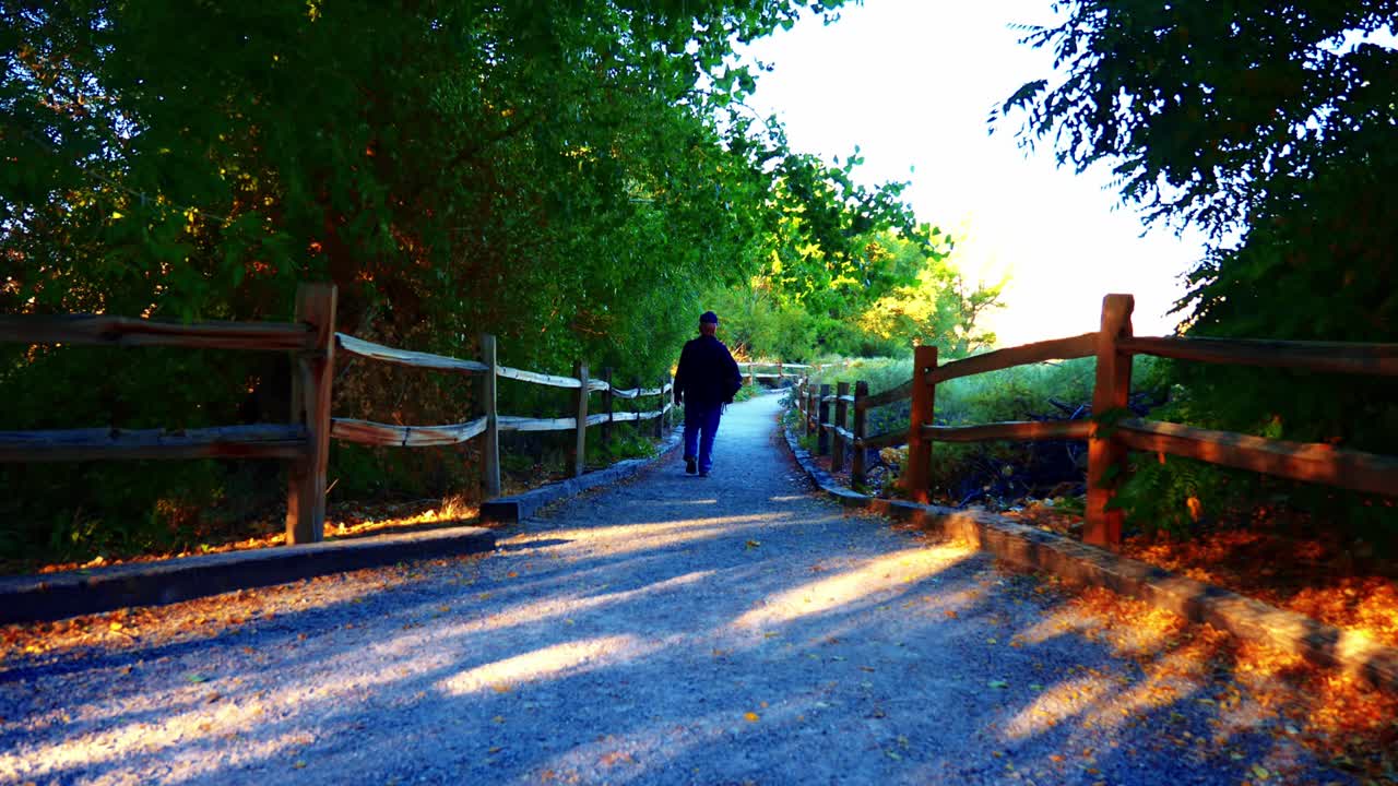 Man walking out woodland trail. Autumn morning in Nevada woodlands