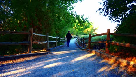 man walking out woodland trail. autumn morning in nevada woodlands