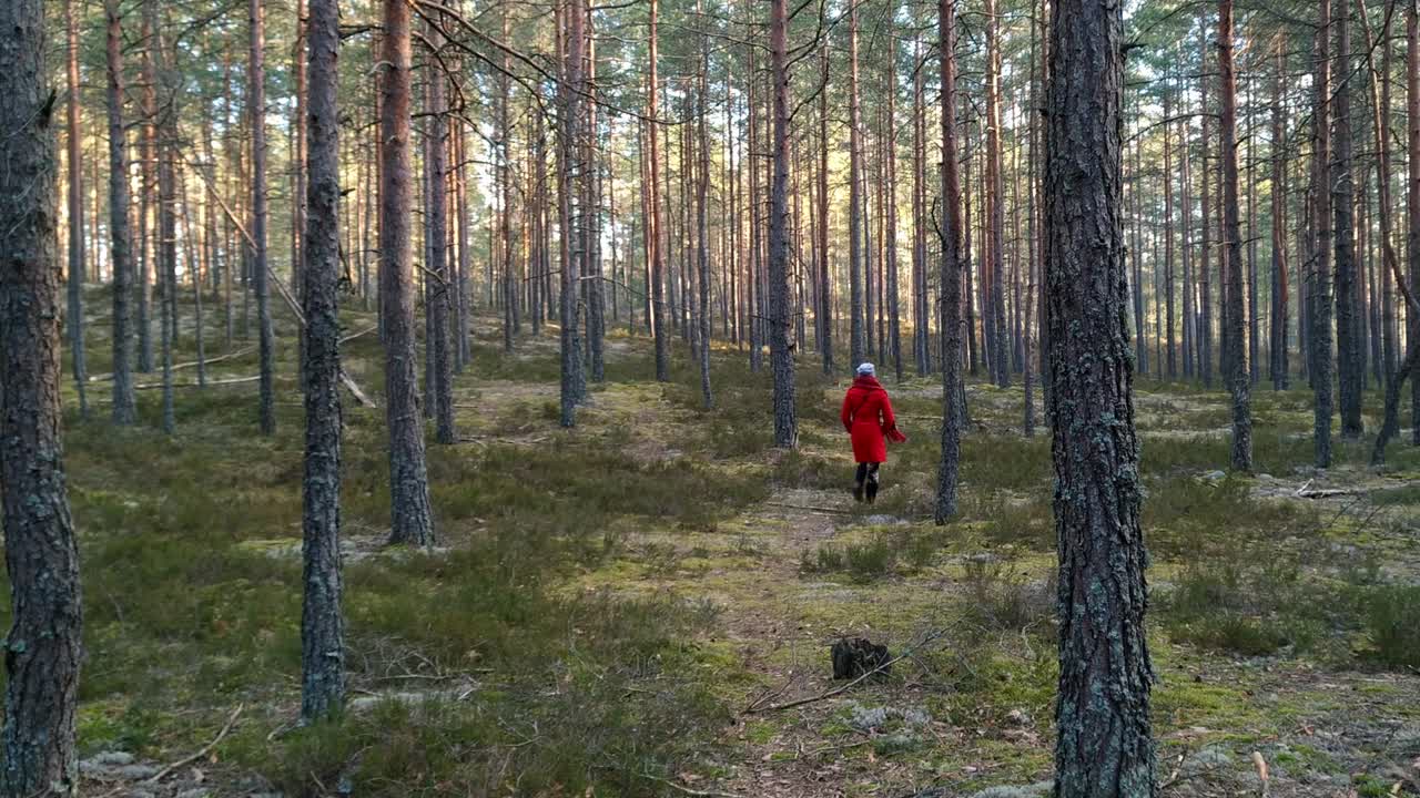 взрослая женщина в красном пальто гуляет в лесу свободы одна в солнечный день