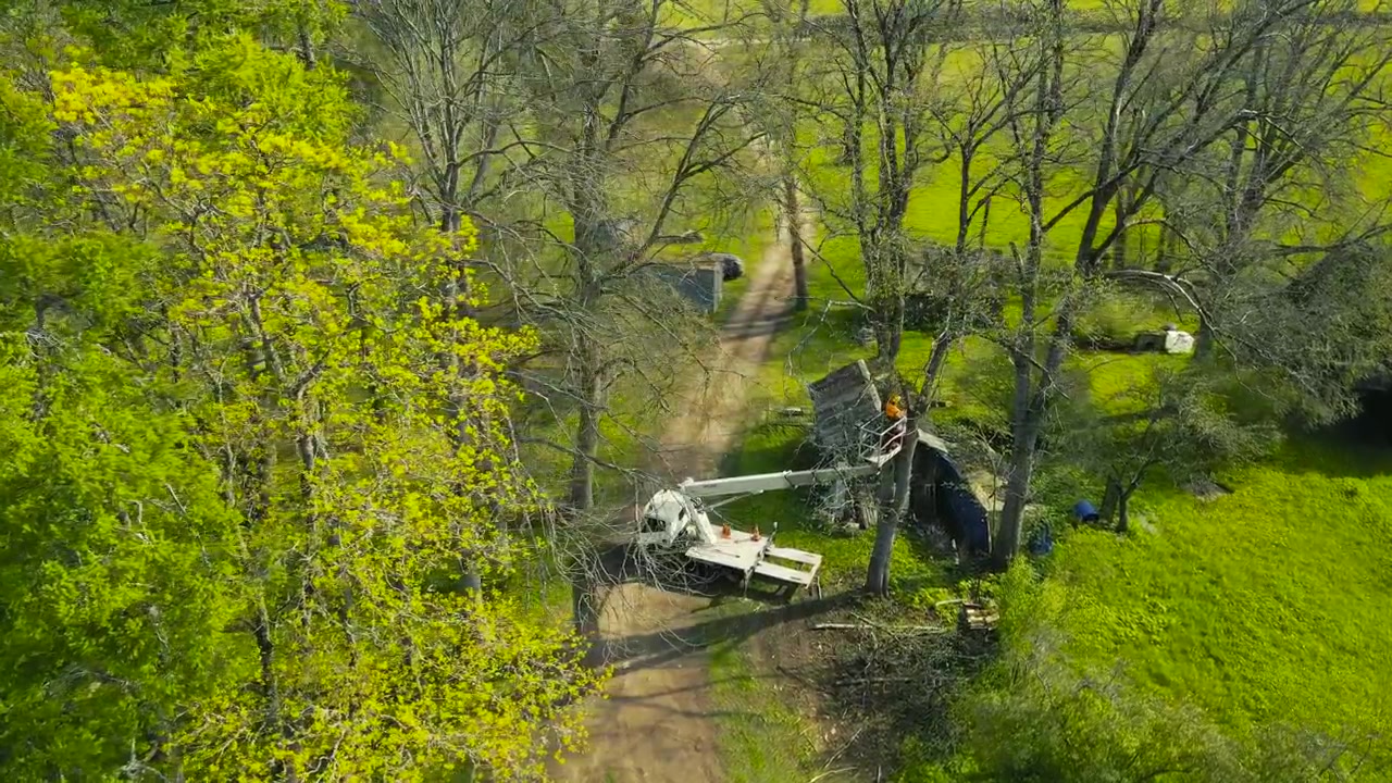 Luftfoto af en professionel arborist i en lift, der fælder et stort træ med en motorsav ved siden af en landlig hytte.