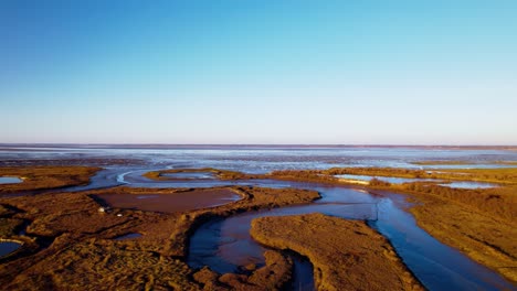 Humedales-Pantanosos-Masivos-En-Un-Hermoso-Día-Soleado,-Toma-Aérea-De-Drones