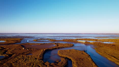 humedales pantanosos masivos en un hermoso día soleado, toma aérea de drones