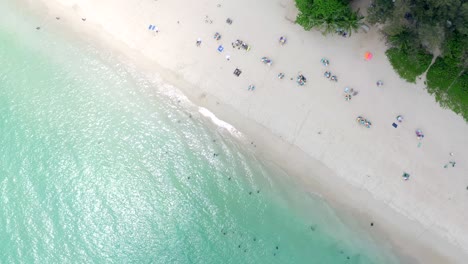 top view of tourist sunbathe on the beautiful beaches of phuket  thailand