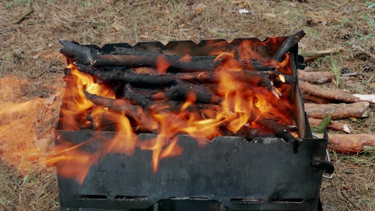 브라지어 바베큐 그릴 인 포레스트 4k