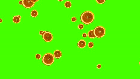 las frutas caen animación croma elemento clave bucle, rebanadas de naranja