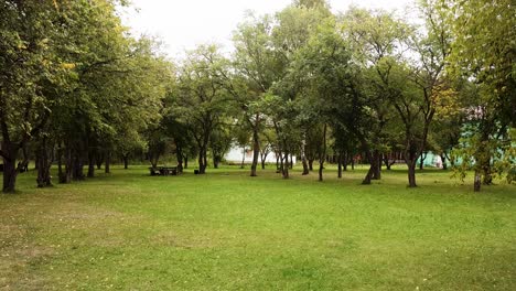 park with trees, lawn, and house