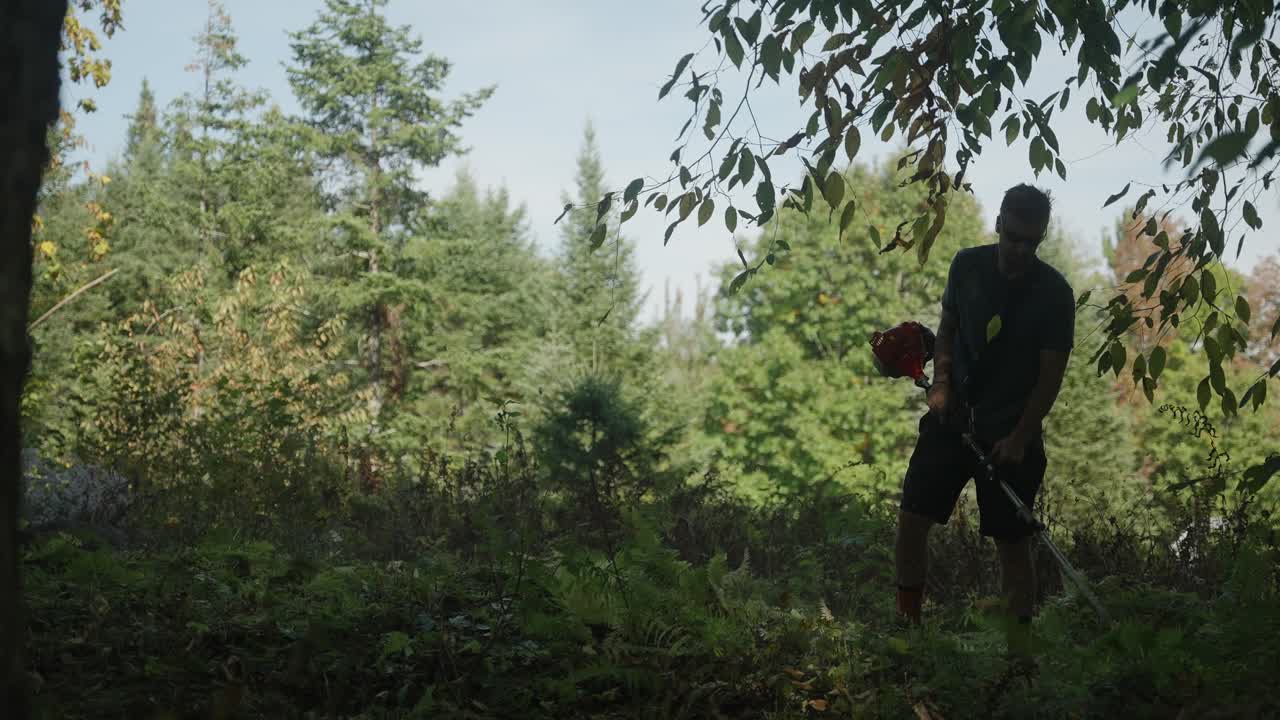 Man swings weed wacker in slow motion cutting ferns along the ground in a shadowy forest meadow