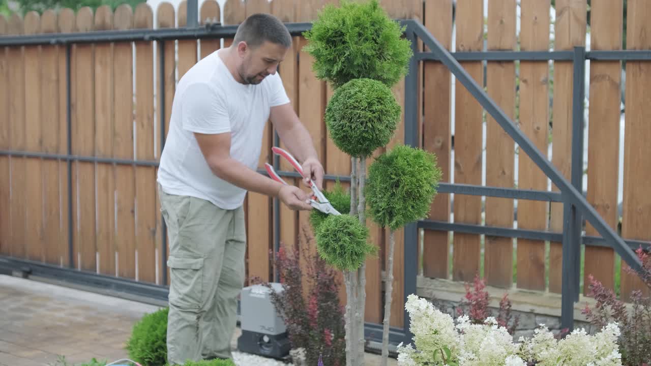 A gardener prunes decorative shrubs with shears in a landscaped yard, focusing on plant shaping and garden aesthetics. Wooden fence and green lawn in the background