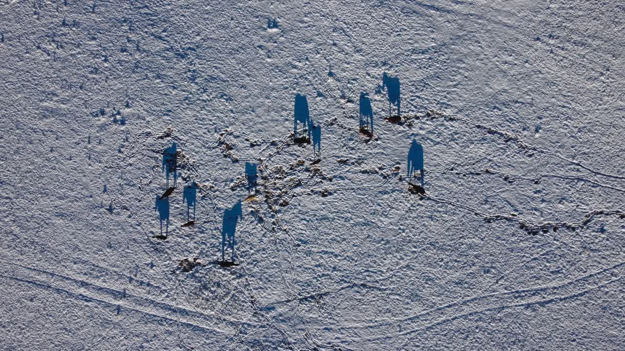 넓게 접근하는 위에서 눈을 뒤적 거리는 말