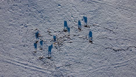 Horses-rummaging-with-snow-from-above-approaching-wide